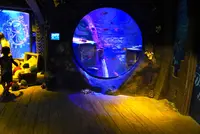 シーライフ ナゴヤの写真・動画_image_227259