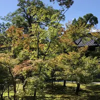 金閣寺（鹿苑寺）の写真・動画_image_227276