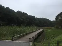 多聞の写真・動画_image_227320