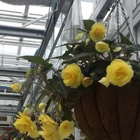 神代植物公園の写真・動画_image_227322