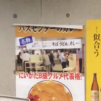 デンカビッグスワンスタジアムの写真・動画_image_227344