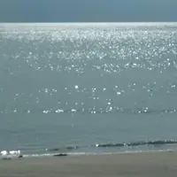 鵜原海岸 白い鳥居の写真・動画_image_227445