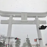 出雲大社の写真・動画_image_227764