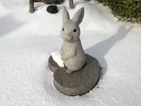 島根県立古代出雲歴史博物館の写真・動画_image_227767