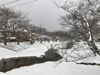 玉造温泉の写真・動画_image_227798