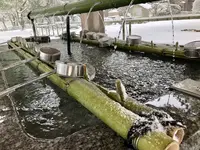 出雲大社の写真・動画_image_227846