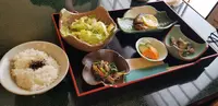 テネレの木の写真・動画_image_228111