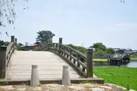 大溝城趾の写真・動画_image_228155