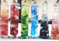 高島びれっじの写真・動画_image_228161