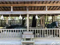 出雲大社の写真・動画_image_228287