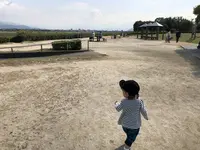 空港南第二公園の写真・動画_image_228610