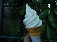 平泉寺白山神社の写真・動画_image_228626