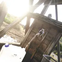 神谷の水の写真・動画_image_228627