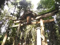 平泉寺白山神社の写真・動画_image_228628