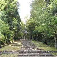 平泉寺白山神社の写真・動画_image_228630