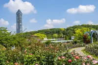 東山動物園の写真・動画_image_228667