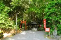 関之尾滝の写真・動画_image_228737