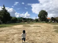 久万ノ台緑地の写真・動画_image_228815