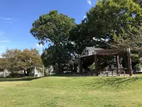 久万ノ台緑地の写真・動画_image_228816