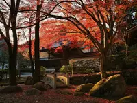 西教寺の写真・動画_image_228846