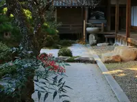 西教寺の写真・動画_image_228849