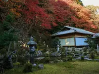 西教寺の写真・動画_image_228852