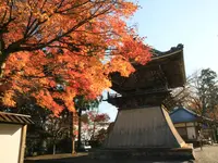西教寺の写真・動画_image_228853