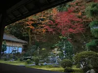 西教寺の写真・動画_image_228854