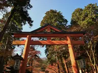 日吉大社の写真・動画_image_228855