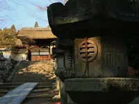 長等山 園城寺（三井寺）の写真・動画_image_228859