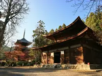 長等山 園城寺（三井寺）の写真・動画_image_228860