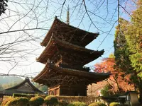 長等山 園城寺（三井寺）の写真・動画_image_228869