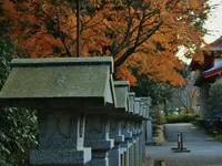 近江神宮の写真・動画_image_228880