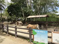 海の中道海浜公園の写真・動画_image_228897
