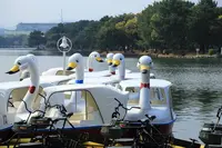 大濠公園の写真・動画_image_228899