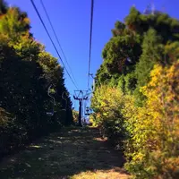 石鎚山の写真・動画_image_229132