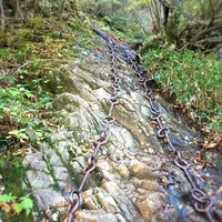 石鎚山の写真・動画_image_229133