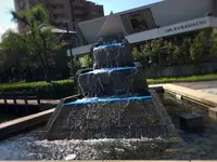 うちぬきの写真・動画_image_229160