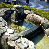 うちぬきの写真・動画_image_229163