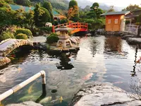 りんりんパークーの写真・動画_image_229174