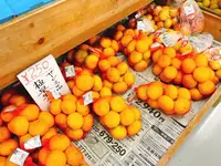道の駅 小松オアシスの写真・動画_image_229267