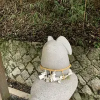 白兎神社の写真・動画_image_229558