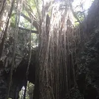 ガンガラーの谷の写真・動画_image_229569
