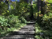 羽黒山の写真・動画_image_229930