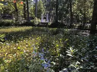 羽黒山の写真・動画_image_229931