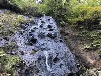 須賀の滝の写真・動画_image_229943