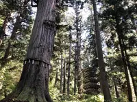 羽黒山五重塔の写真・動画_image_229946
