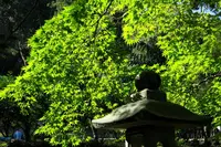 谷汲山　華厳寺の写真・動画_image_230195