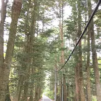 雲場池の写真・動画_image_230621