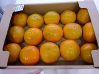 道の駅 パレットピアおおのの写真・動画_image_230626